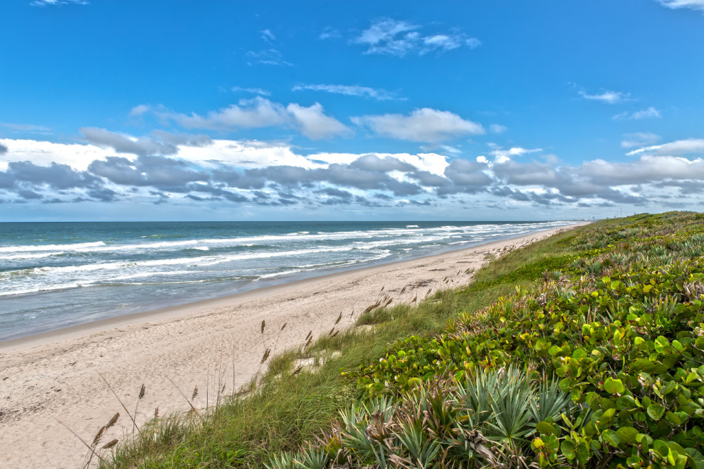 Beach view of Canaveral National Seashore