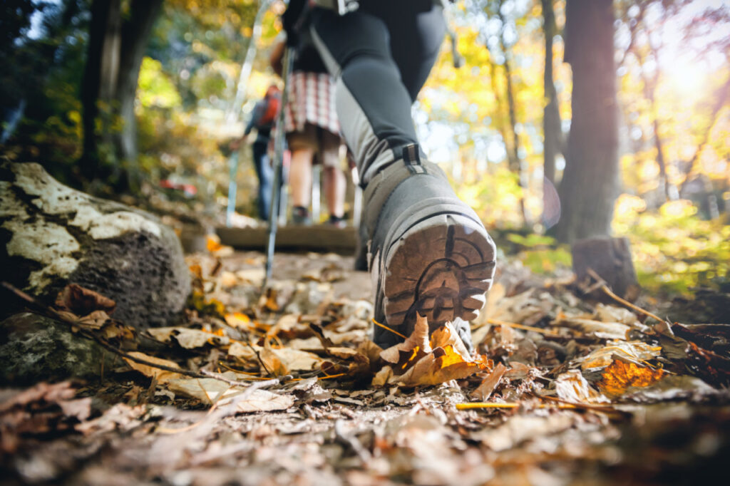 A group of hikers on a trail